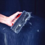 MaxShine cepillo para pelos
